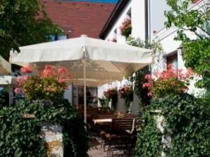 照片: Grüner Baum 