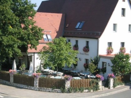 照片: Grüner Baum 