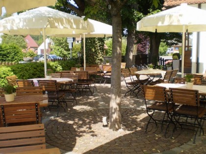 照片: Grüner Baum